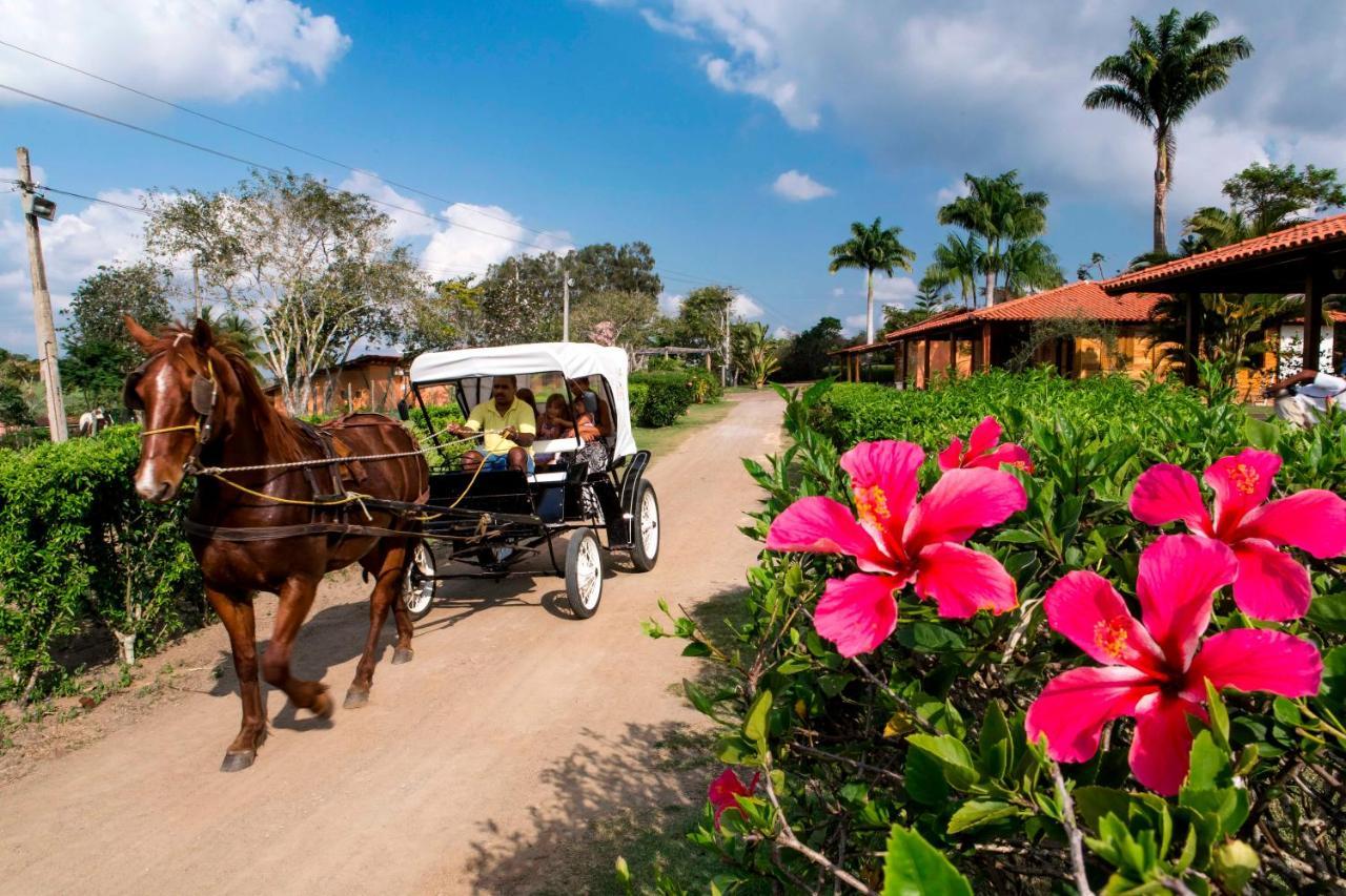 Hotel Fazenda Colibri アマルゴーザ エクステリア 写真