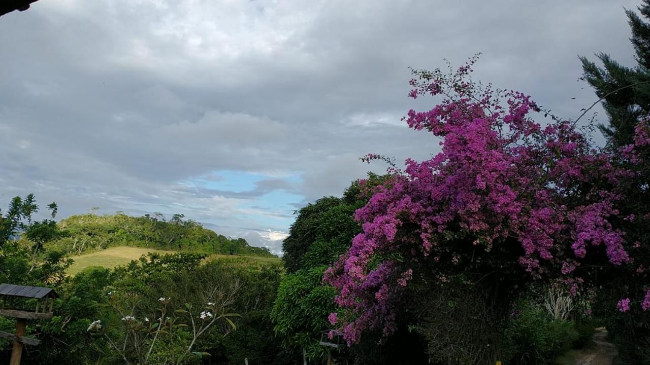Hotel Fazenda Colibri アマルゴーザ エクステリア 写真