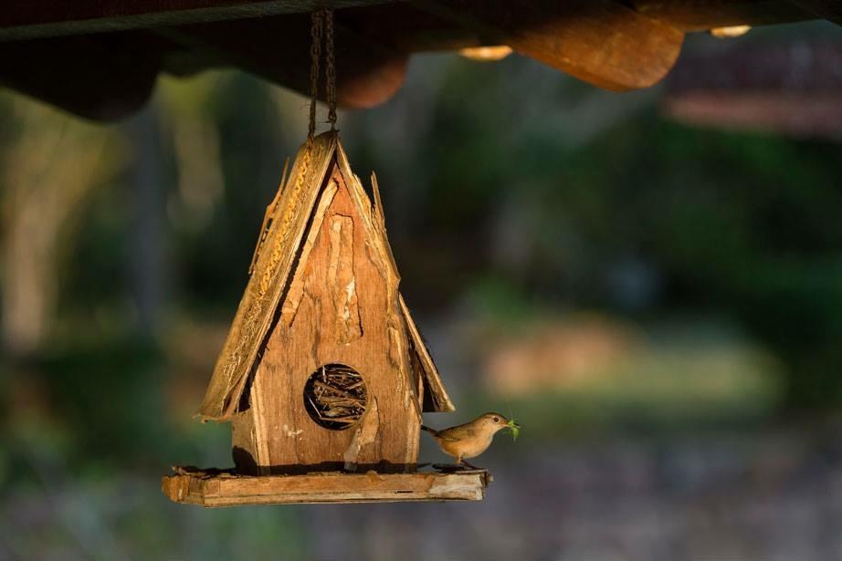 Hotel Fazenda Colibri アマルゴーザ エクステリア 写真