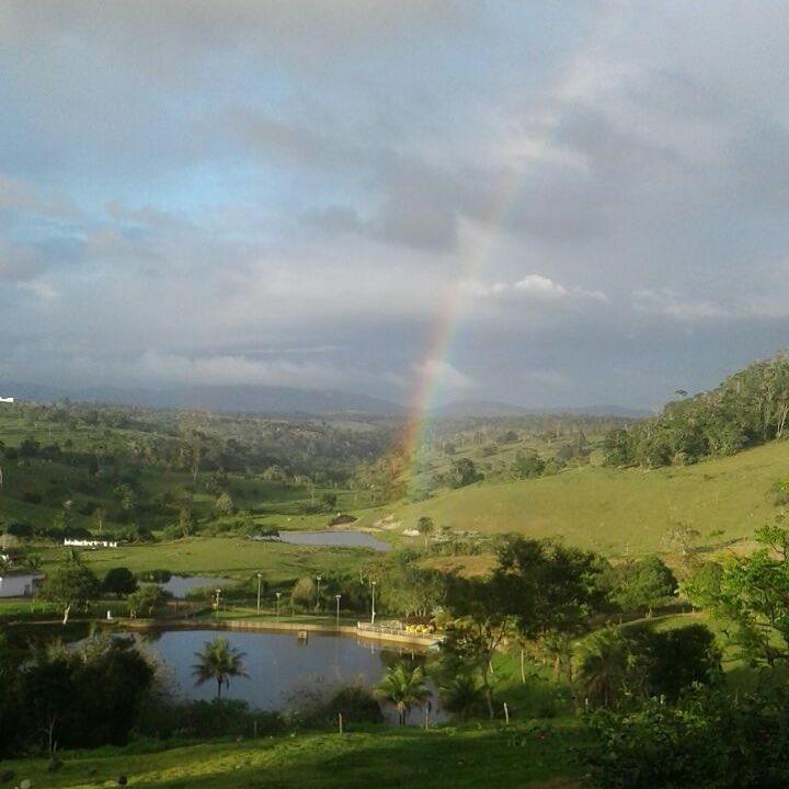 Hotel Fazenda Colibri アマルゴーザ エクステリア 写真